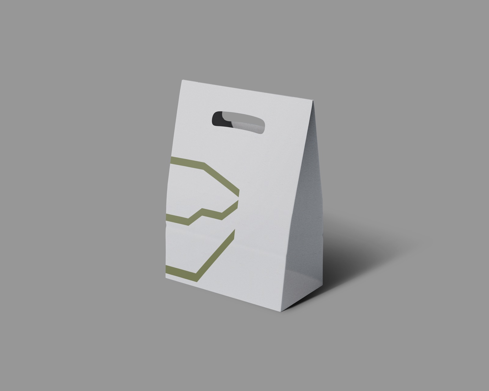 Kraft carry bag